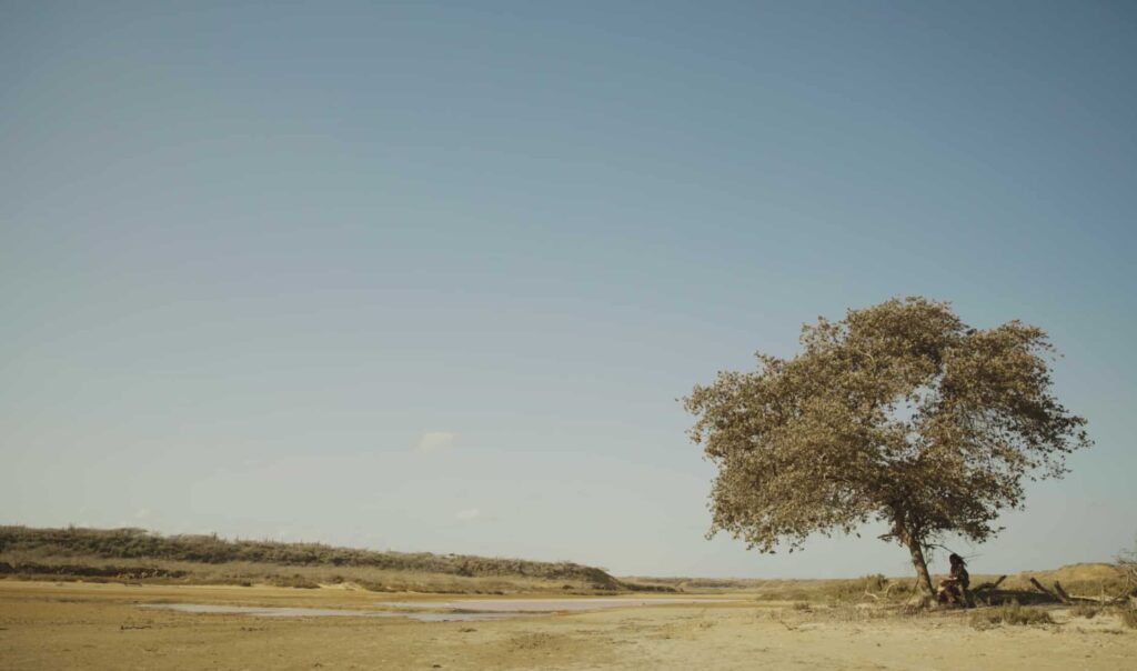 “Alma del desierto” llega a las salas de cine